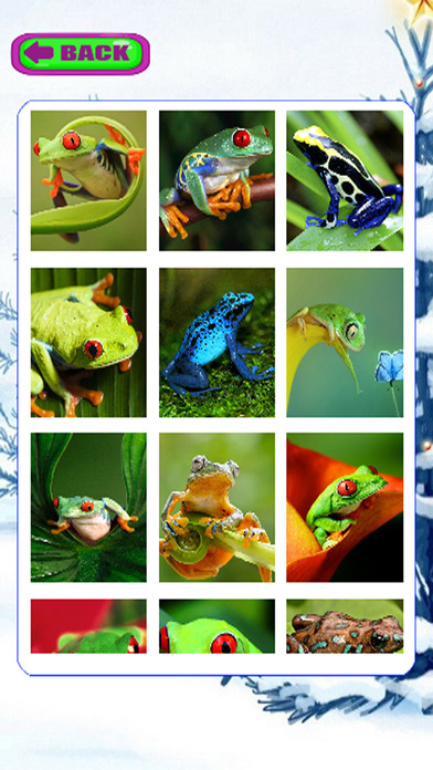 Learning Jigsaw Of Frog Puzzle Version screenshot 2