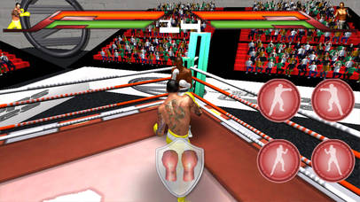 Virtual Boxing 3D Game Fight screenshot 2