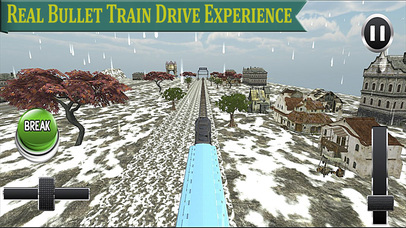 Subway Euro Bullet Train: Real Driving Experience screenshot 2