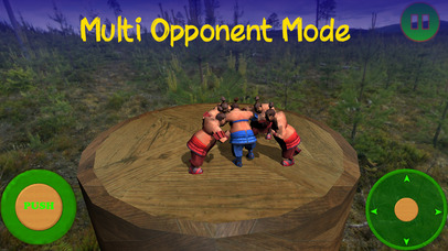 Sumotori Wrestle Dreams 3D screenshot 3