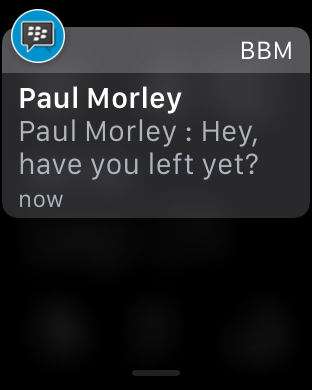 iPhone Screenshot 2