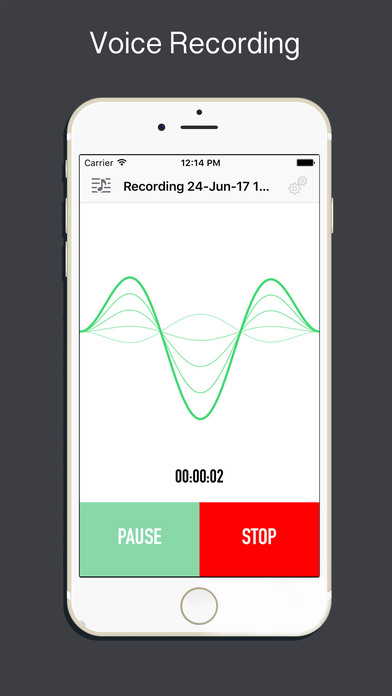 Sound  Recorder - Recording in Voice screenshot 3