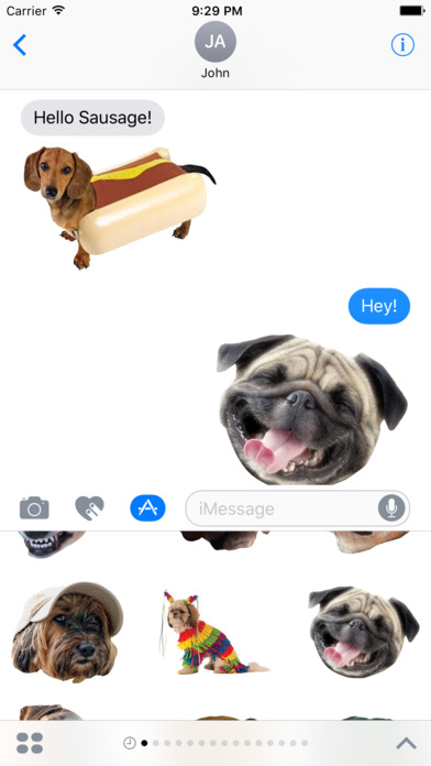 Dog Face - Funny Dog Memes and Faces screenshot 2