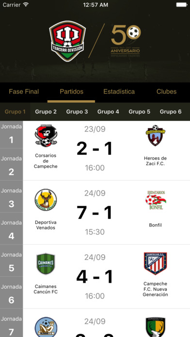 Tercera División screenshot 3