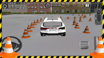 Driving Skill 3D - Car SIM screenshot 3