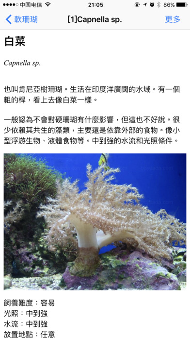 Coral Reefs Bible screenshot 3