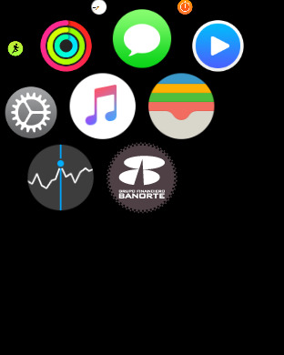 iPhone Screenshot 4