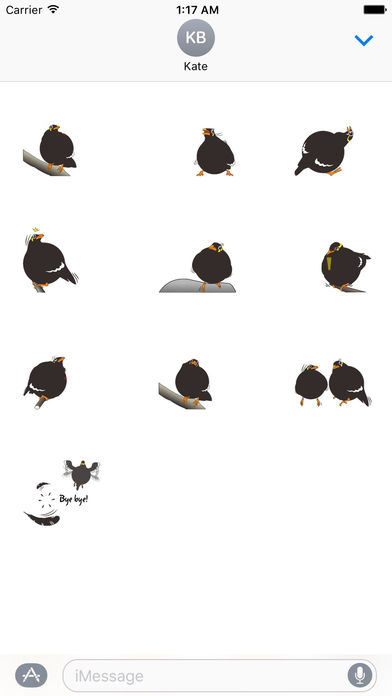 Grackle Bird Sticker screenshot 3