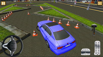 Car Skilled Drive Adventure Park screenshot 3
