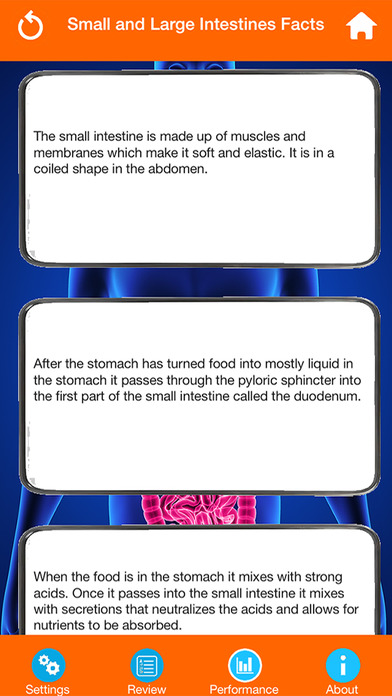 Body Parts : Small and Large Intestines Quiz screenshot 4
