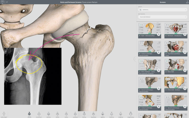Complete Anatomy 2018 for Mac 3.0 Full Version 破解版 - 强大的3D医学人体模型