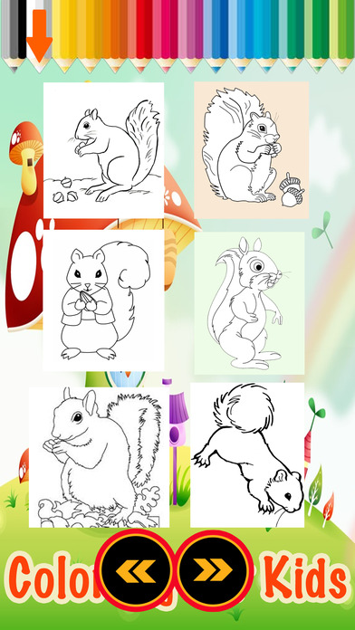 A Little Squirrel Animals Zoo Coloring Books screenshot 2