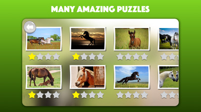 Horse and Pony jigsaw puzzles for kids & toddlers screenshot 2