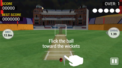 Real Cricket Championship 3d screenshot 2