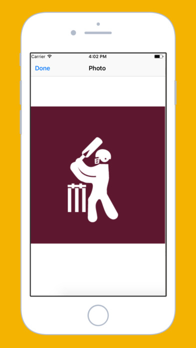 Cricket Icons - Ultimate Cricket Lover Stickers screenshot 2