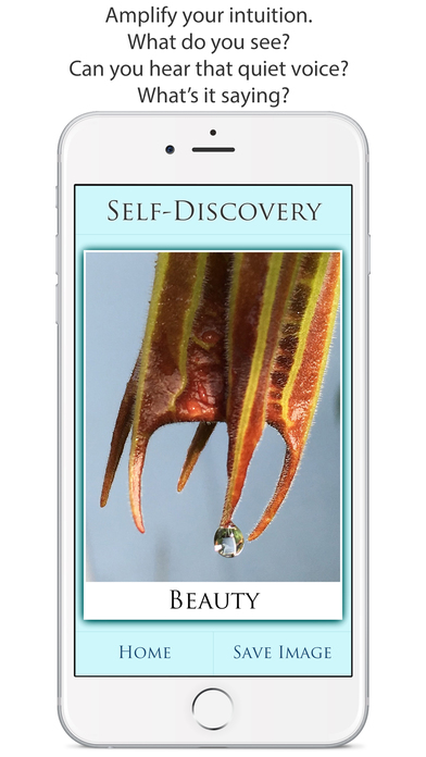 Self-Discovery screenshot 2