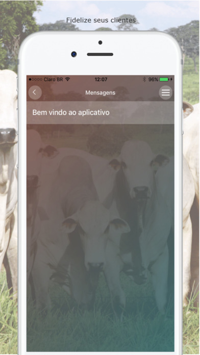 Leilão Aliança screenshot 3