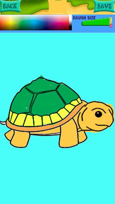 Turtle Coloring Book Games Education screenshot 2