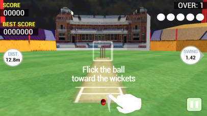Real Cricket Runout Championship screenshot 2