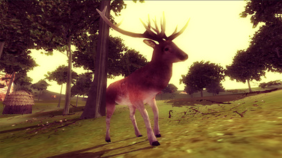 Animal Sniper Hunter screenshot 4