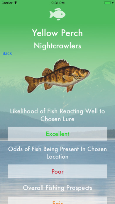Freshwater Fishin : Fishing Guide screenshot 2