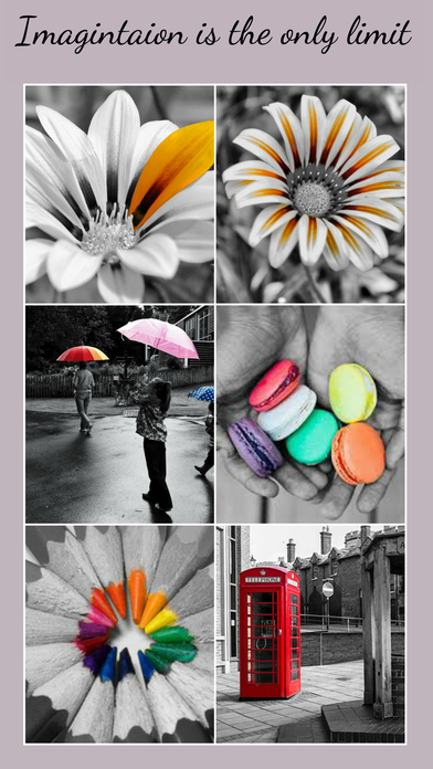 Color Pop Effects & Photo Editor screenshot 3