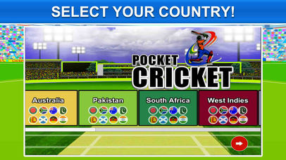 Pocket Cricket Fever screenshot 4