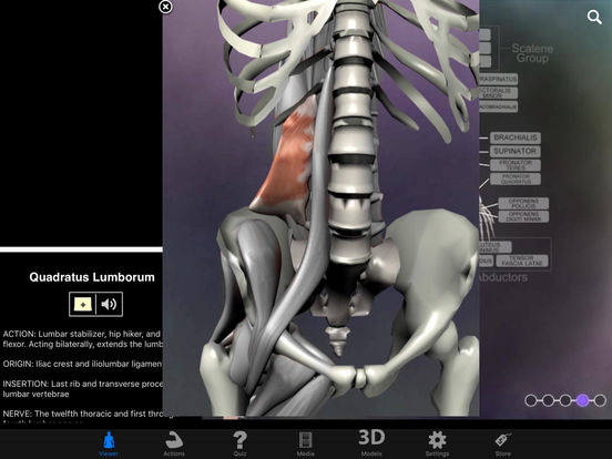 Captura de pantalla del iPad 2