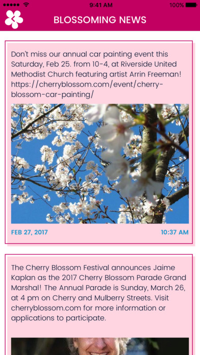 Cherry Blossom Festival screenshot 2