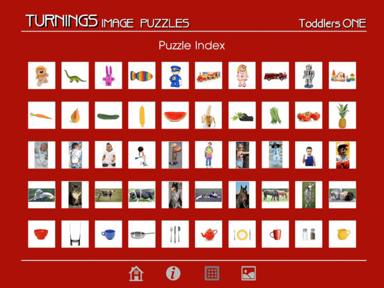 iPad Screenshot 1