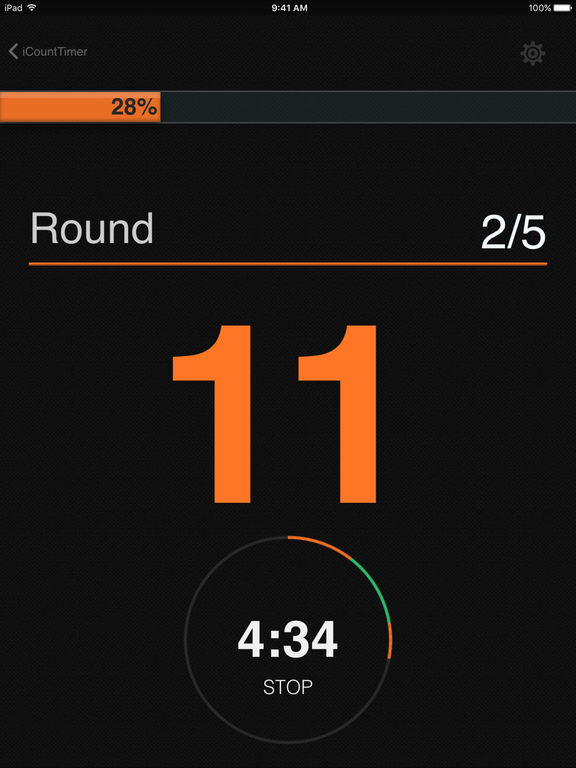 iPad Screenshot 2