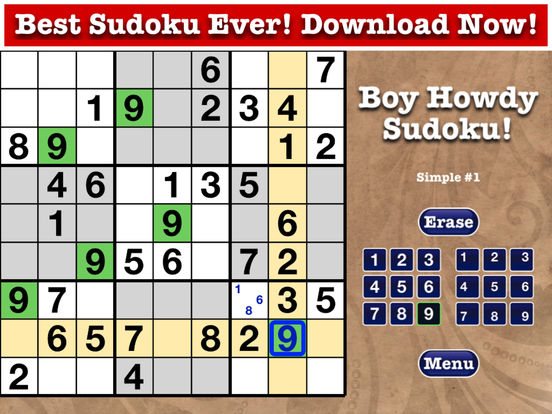 sudoku-boy-howdy-technology
