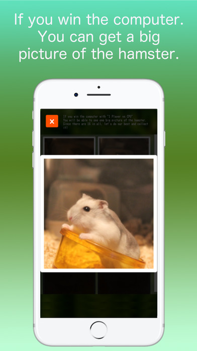 Hamster Memory Game screenshot 3