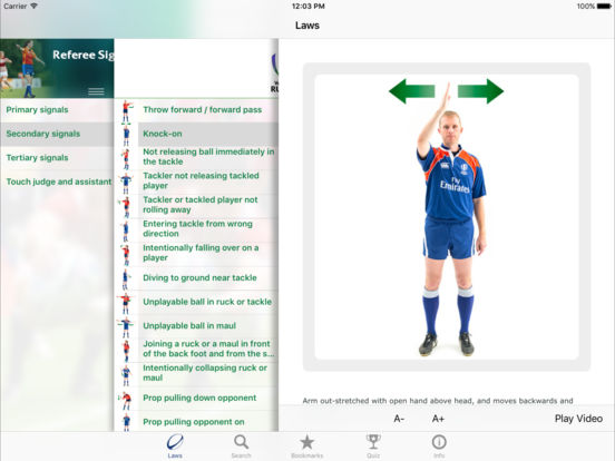 iPad Screenshot 4