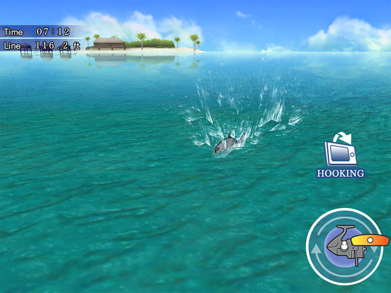 iPad Screenshot 3