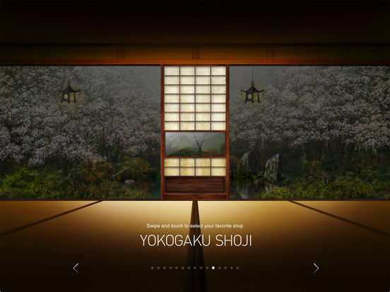 iPad Screenshot 5