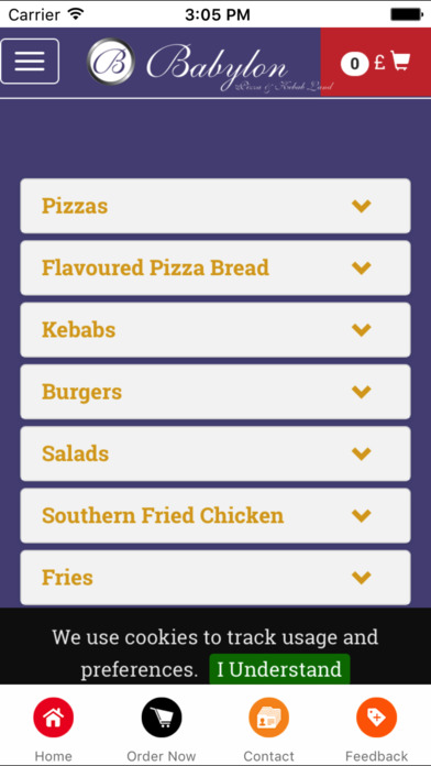 Babylon Pizza and Kebab Land screenshot 3