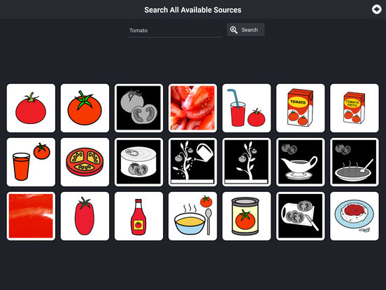 iPad Screenshot 5