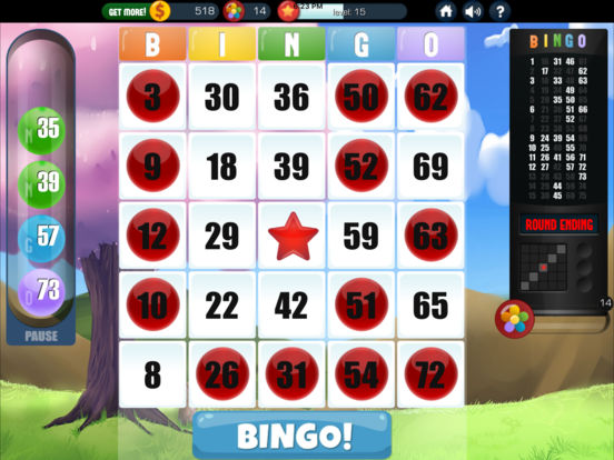 Absolute Bingo download the new for windows