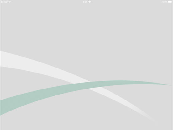 iPad Screenshot 1
