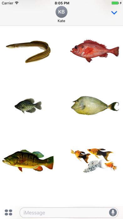 Fish School Stickers screenshot 4