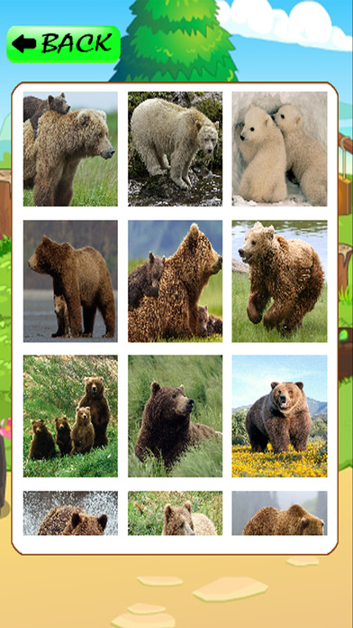 Big Bear Jigsaw Puzzles For Kids Learning Games screenshot 2