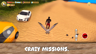 City Birds Simulator Full screenshot 3