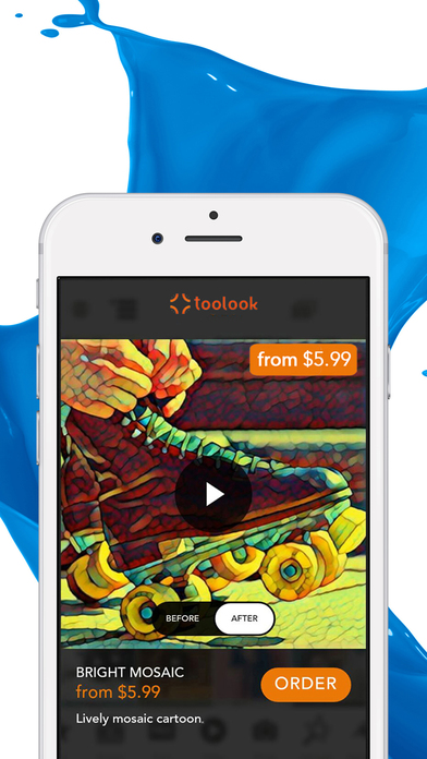 Toolook Business Edition screenshot 2