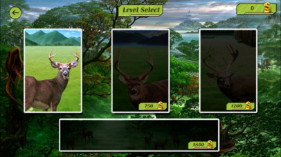 Forest Wild Deer Hunting - Adventure Sniper Guns screenshot 2