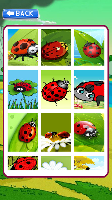 Learning Jigsaw Puzzles Ladybug Version screenshot 2