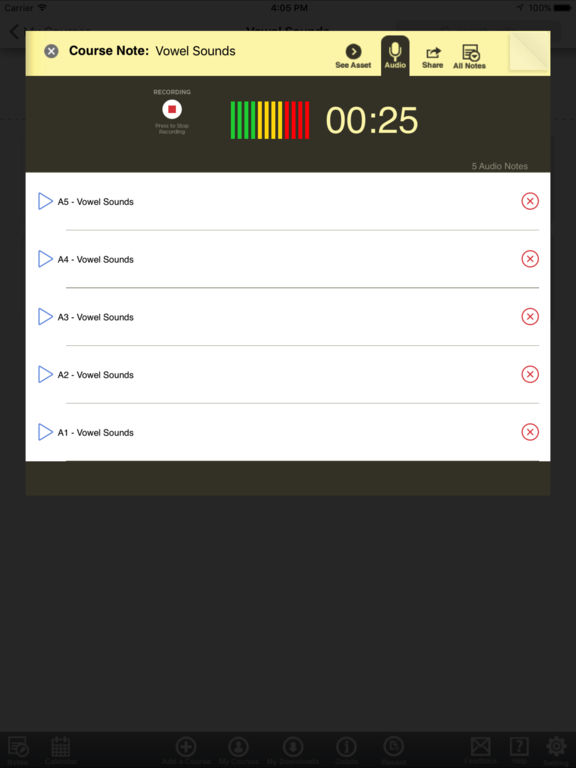 iPad Screenshot 4