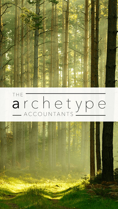 The Archetype Accountants screenshot 4