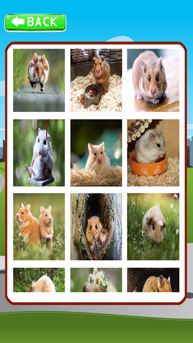 Puzzle Learning Games For Hamster screenshot 2
