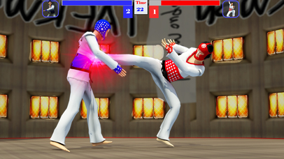 Taekwondo Fighting 2017: Kung Fu Karate Revolution screenshot 4